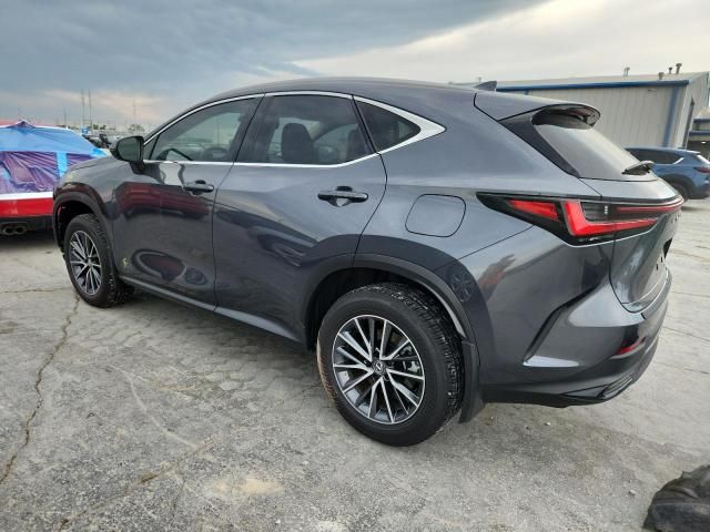 2023 Lexus NX 350H