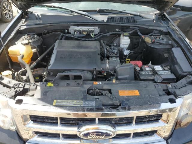 2010 Ford Escape Limited