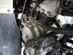2024 ATV Arctic Cat