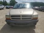 2003 Dodge Dakota SXT
