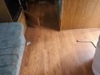 1996 Other 1996 'OTHER RV' Trailer