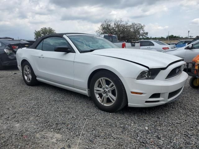 2014 Ford Mustang