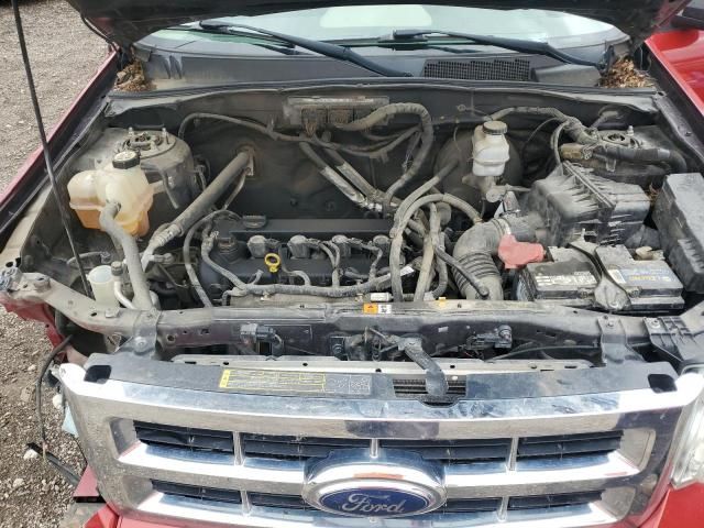 2010 Ford Escape XLT