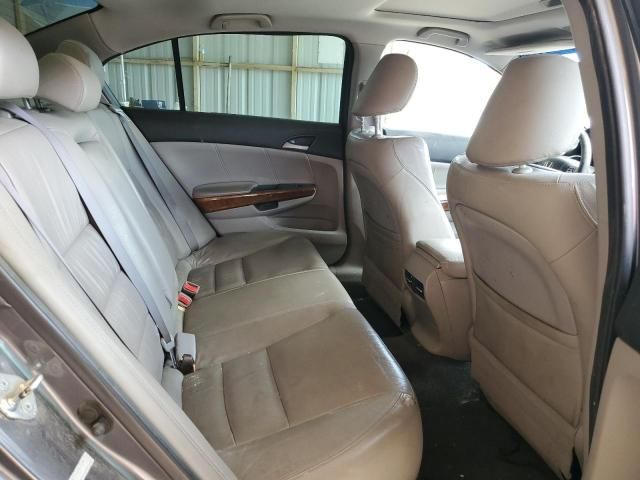2011 Honda Accord EXL