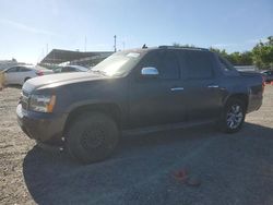 Salvage cars for sale from Copart Sacramento, CA: 2010 Chevrolet Avalanche LTZ