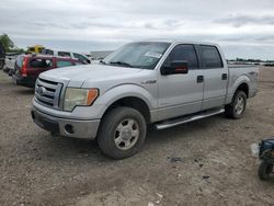 Salvage trucks for sale at Houston, TX auction: 2011 Ford F150 Supercrew