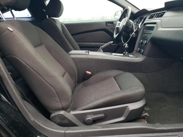 2014 Ford Mustang GT