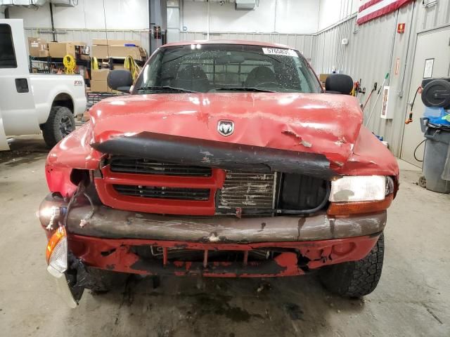 1999 Dodge Dakota