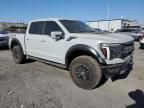 2024 Ford F150 Raptor