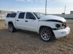 2010 Dodge Dakota ST