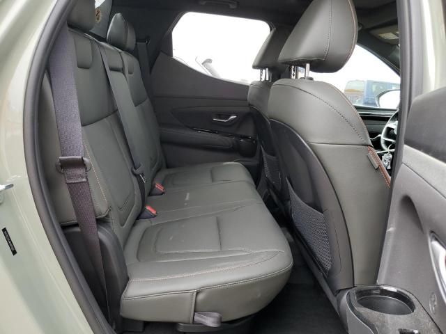 2024 Hyundai Santa Cruz Limited