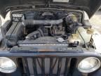2002 Jeep Wrangler / TJ X