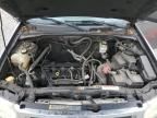 2010 Ford Escape Limited
