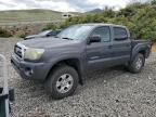 2010 Toyota Tacoma Double Cab