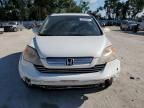 2009 Honda CR-V EXL