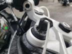 2025 Triumph Daytona 660