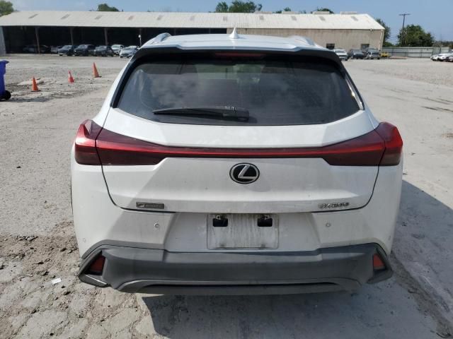 2019 Lexus UX 200