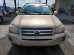 2006 Toyota Highlander Hybrid