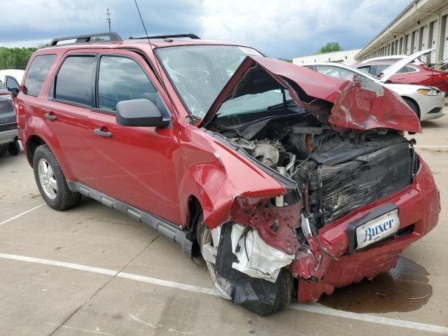 2010 Ford Escape XLT
