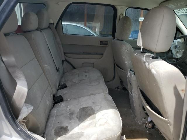 2010 Ford Escape XLT