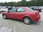 2004 Dodge Neon SXT