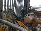 2020 Urwi 2020 CMI Forestry Mulcher