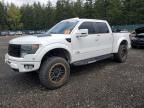 2014 Ford F150 SVT Raptor