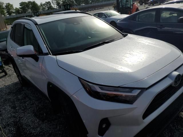2024 Toyota Rav4 XLE Premium