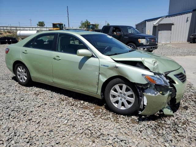 2008 Toyota Camry Hybrid