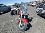 1981 Harley-Davidson Flhs