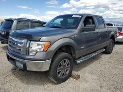 Camiones con título limpio a la venta en subasta: 2011 Ford F150 Supercrew