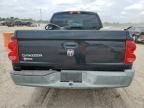 2005 Dodge Dakota Quattro
