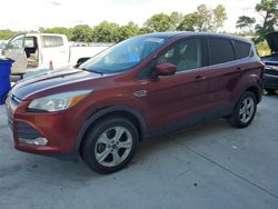 Ford salvage cars for sale: 2014 Ford Escape SE