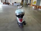 2019 Other Motorcycle Lance Soho