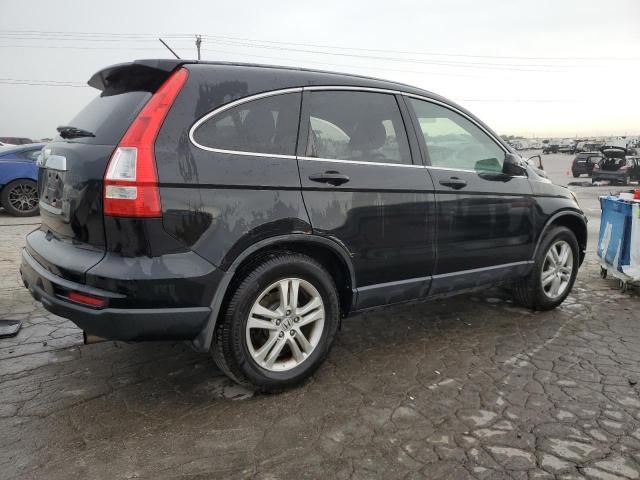 2010 Honda CR-V EXL