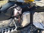 2019 Skidoo 2019 Skidoo REN Sport