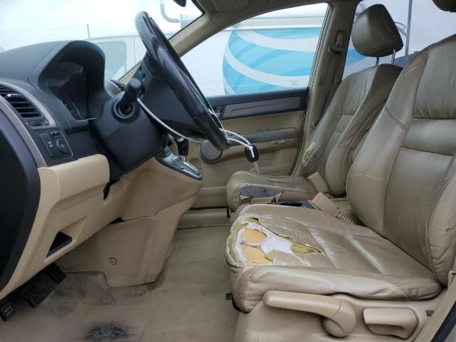 2007 Honda CR-V EXL