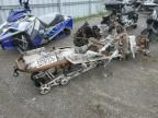 2019 Arctic Cat Bearcat