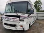 1999 Winnebago 1999 Chevrolet P30