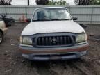 2004 Toyota Tacoma