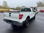 2010 Ford F150
