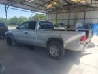 2002 Dodge Dakota Base