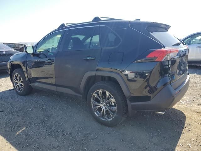 2024 Toyota Rav4 XLE Premium