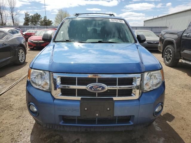 2010 Ford Escape XLT