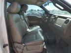 2010 Ford F150