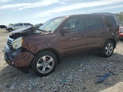 Honda Pilot salvage cars for sale: 2013 Honda Pilot EXL