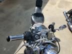 1999 Harley-Davidson XL1200 C