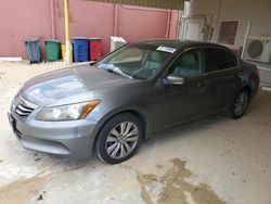 2011 Honda Accord EXL for sale in Sun Valley, CA
