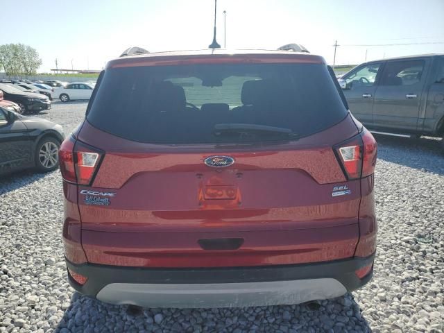 2019 Ford Escape sel
