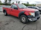 2010 Ford F150